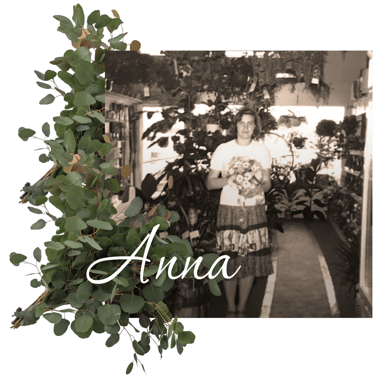 Anna Botelho