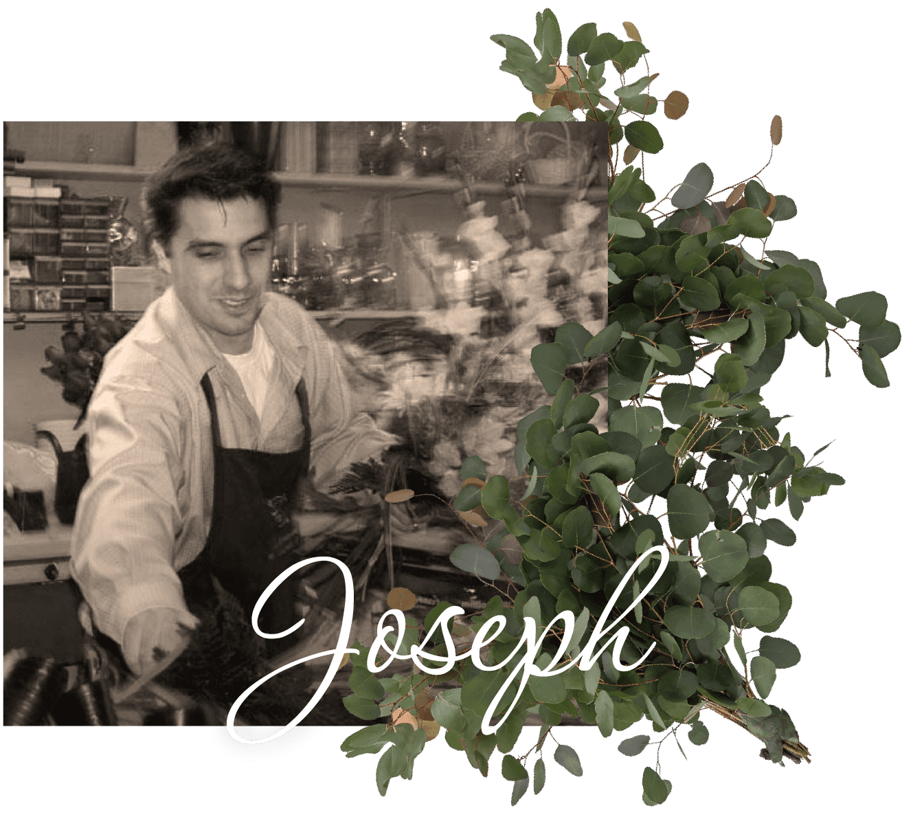 Joseph Botelho