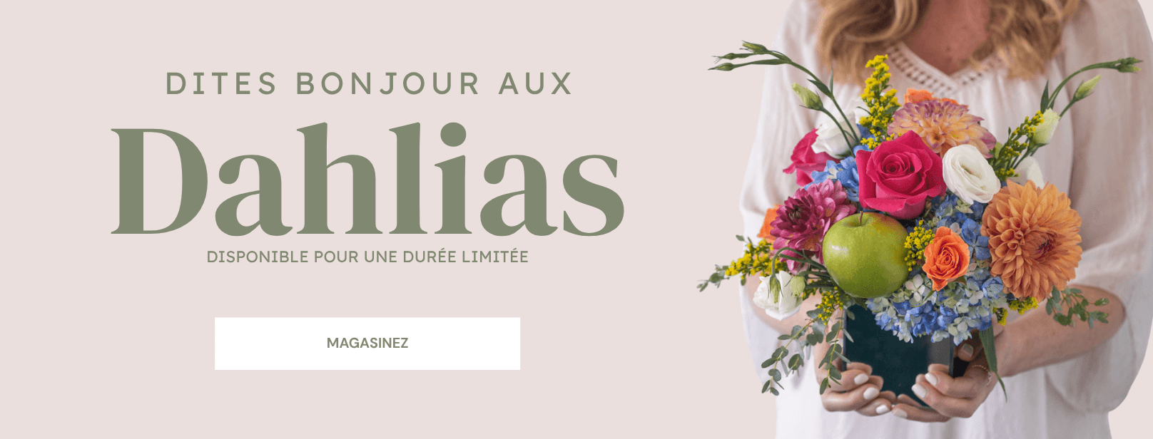 Dahlias de saison offerts pour bouquets, mariages et créations florales chez Le Bouquet