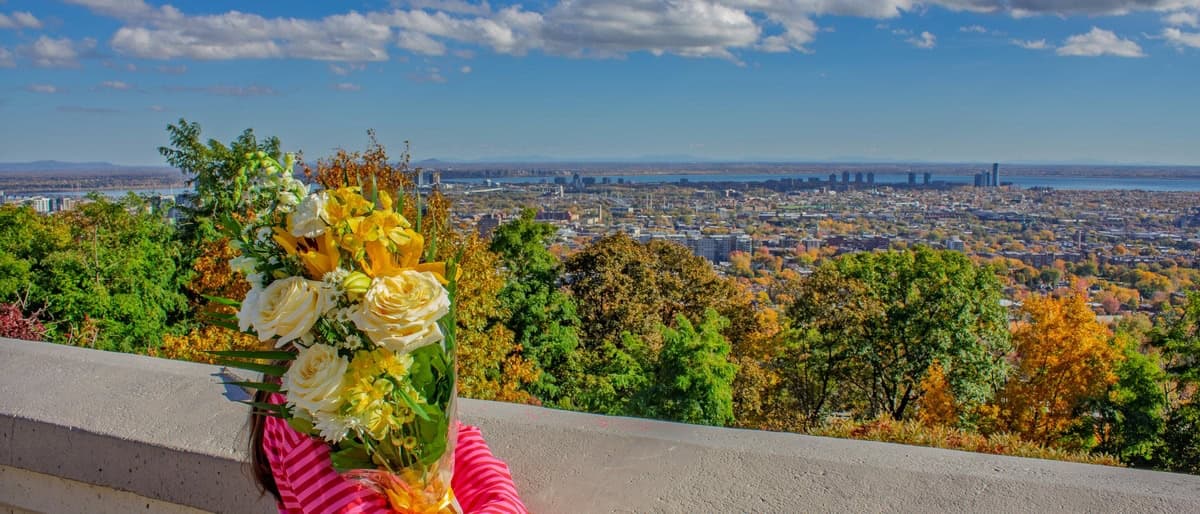 Person holding a yellow and white bouquet overlooking Westmount and Montreal from the belvedere