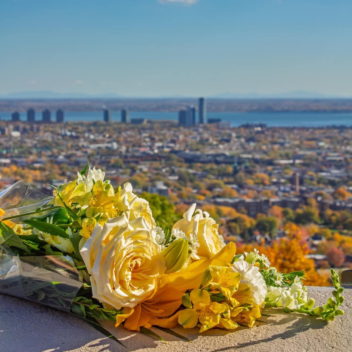 Yellow and white bouquet overlooking Westmount and Montreal from the belvedere