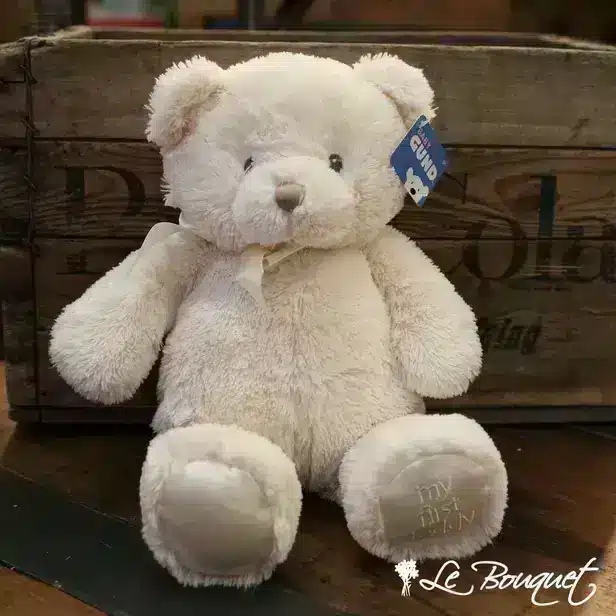 My first store teddy bear