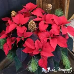 Festive Poinsettia