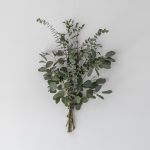 Mixed Eucalyptus Greens Bouquet