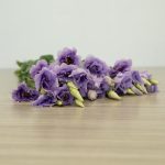 Lavender Lisianthus by the bunch