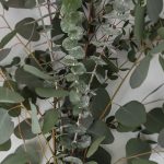 Mixed Eucalyptus Greens Bouquet