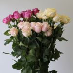 Roses Assorted Colors 60cm (Bulk DIY)