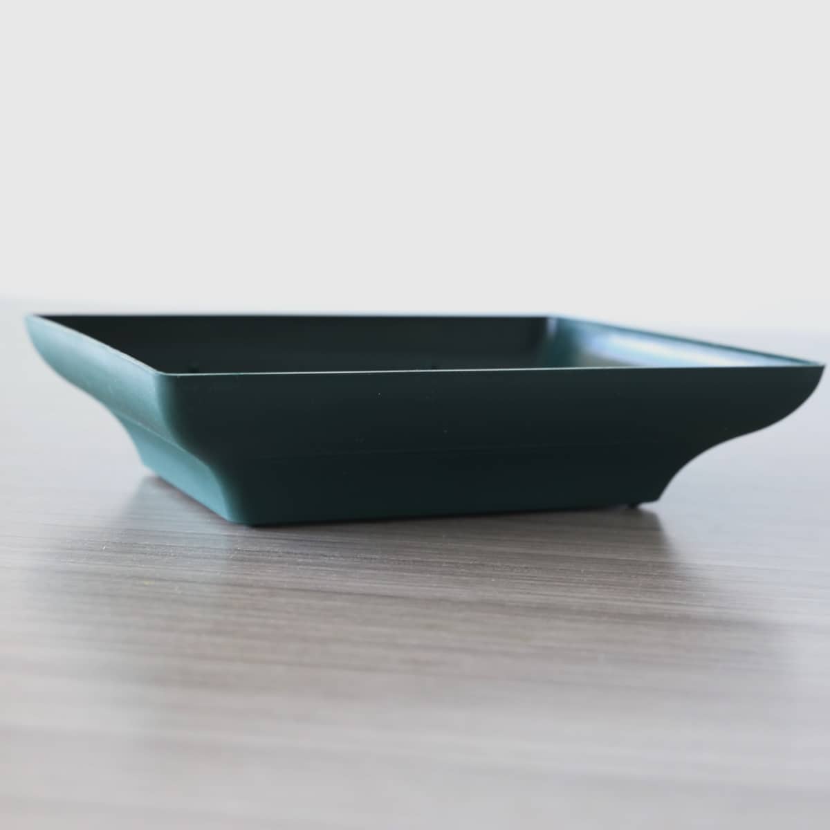 green Rectangular design dish