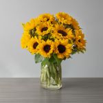 Fresh-Cut Sunflowers