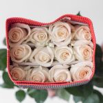 Rose Vendelas Blancs 70 cm (En Vrac)