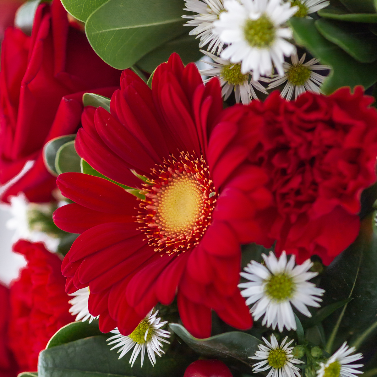 Ruby Red Funeral Heart - Le Bouquet Montreal | Red Roses, Carnations & Gerberas