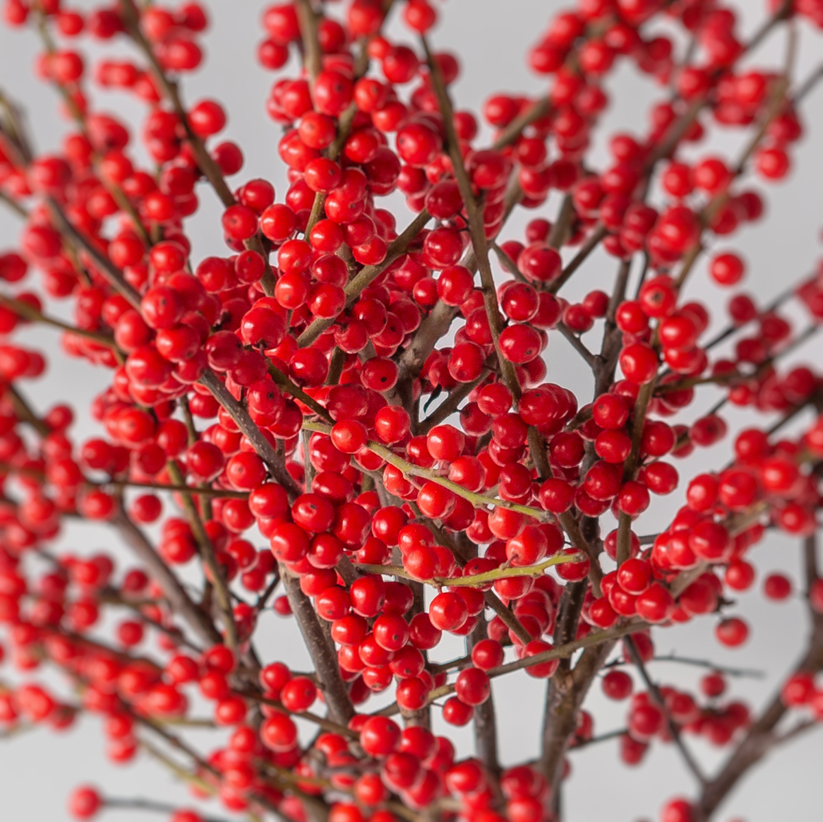 Winterberry Delight Vase red Ilex