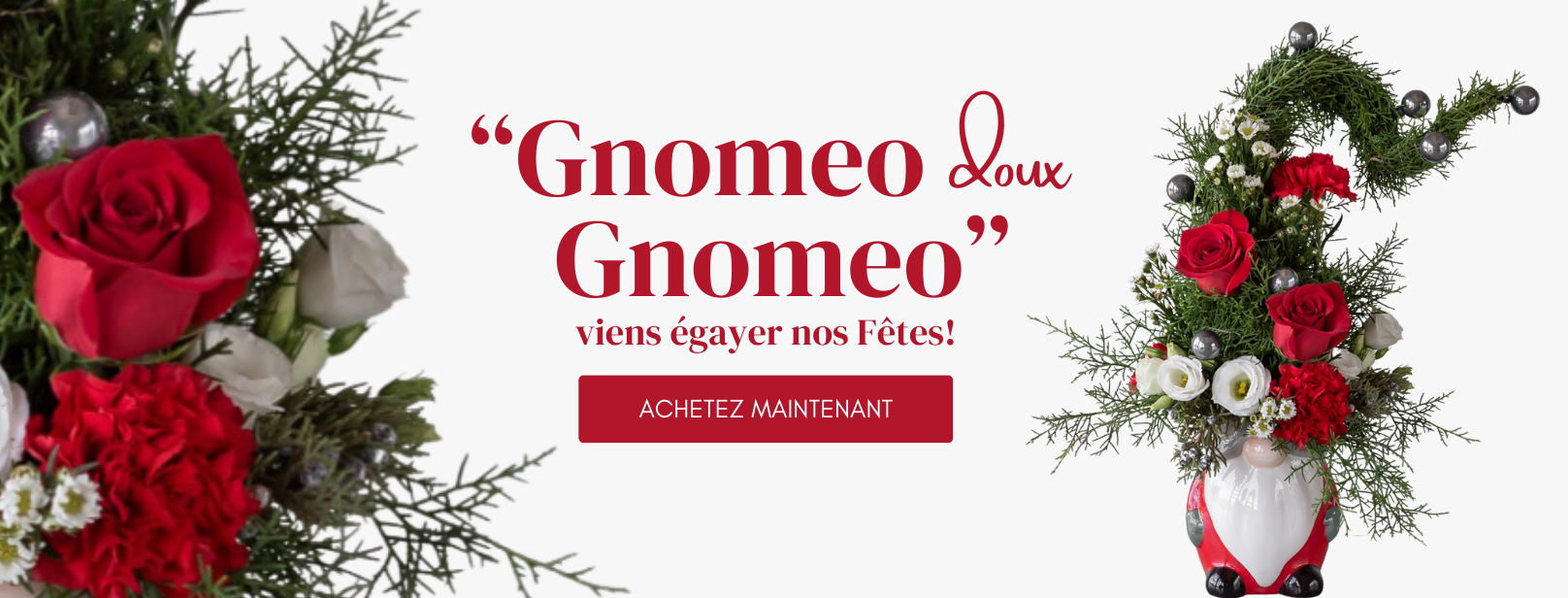 Holiday Banner Gnomeo French