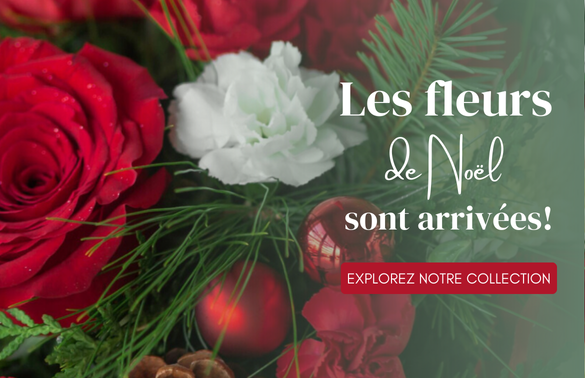 Holiday Christmas Banner french