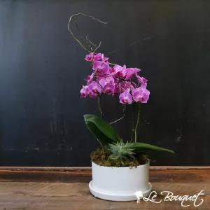 Flowering and Green Plants