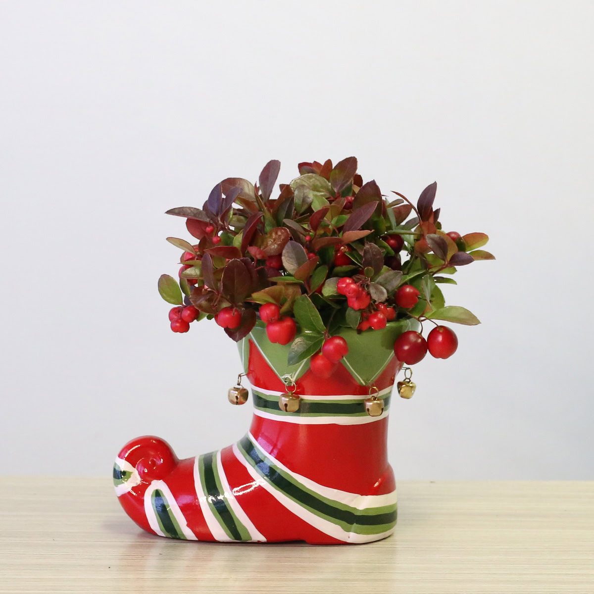 Elf boot Gaultheria (winterberry)