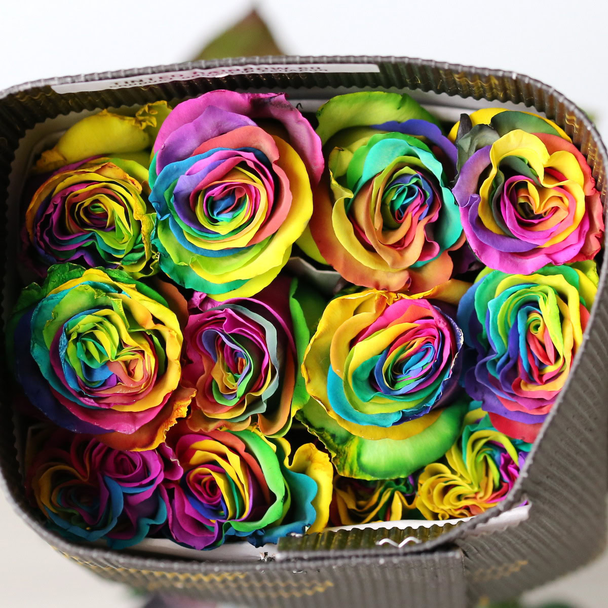 Rainbow Roses