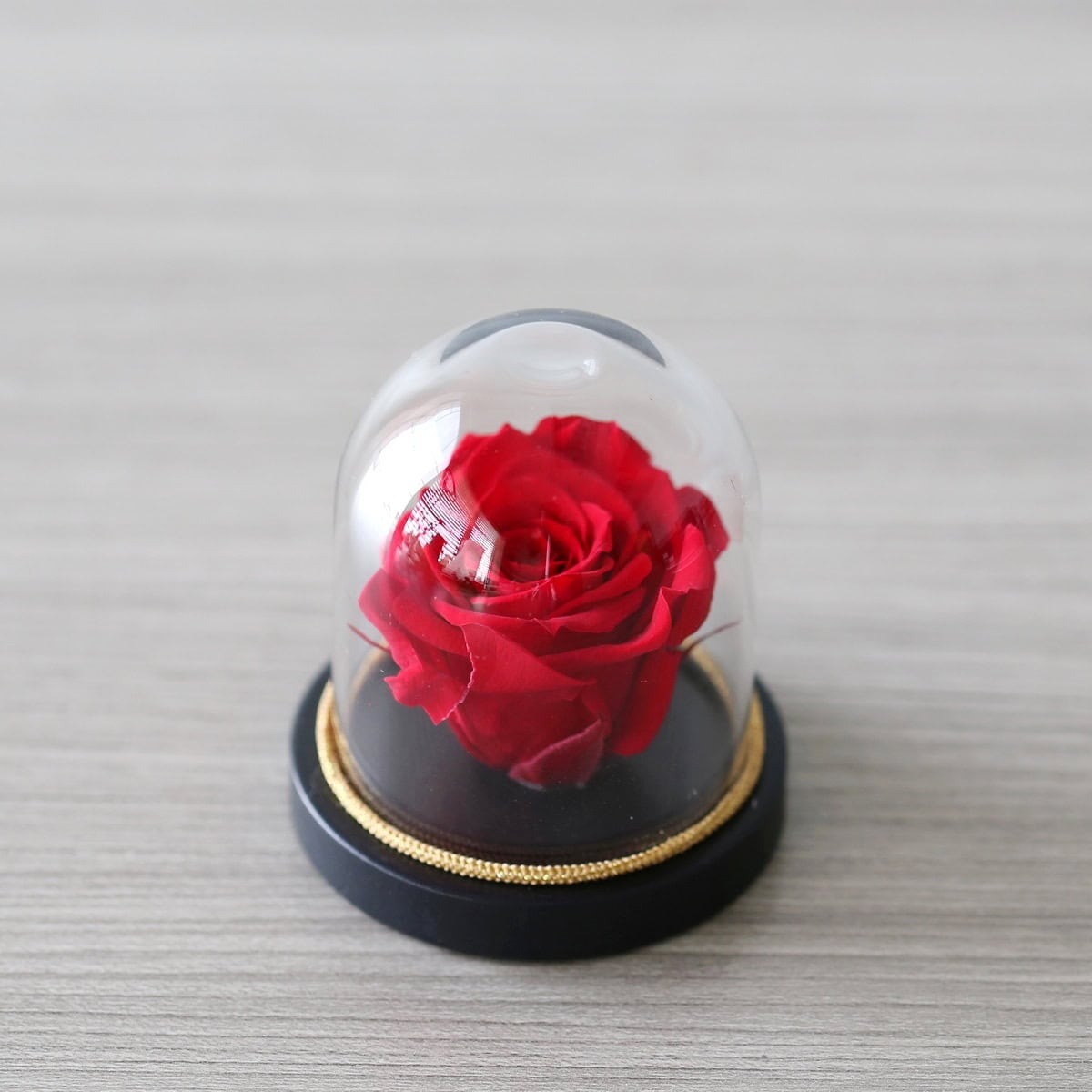 mini red immortal rose