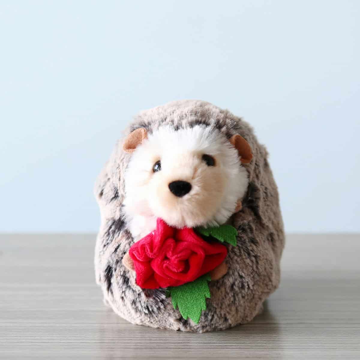 Hedgehog rose