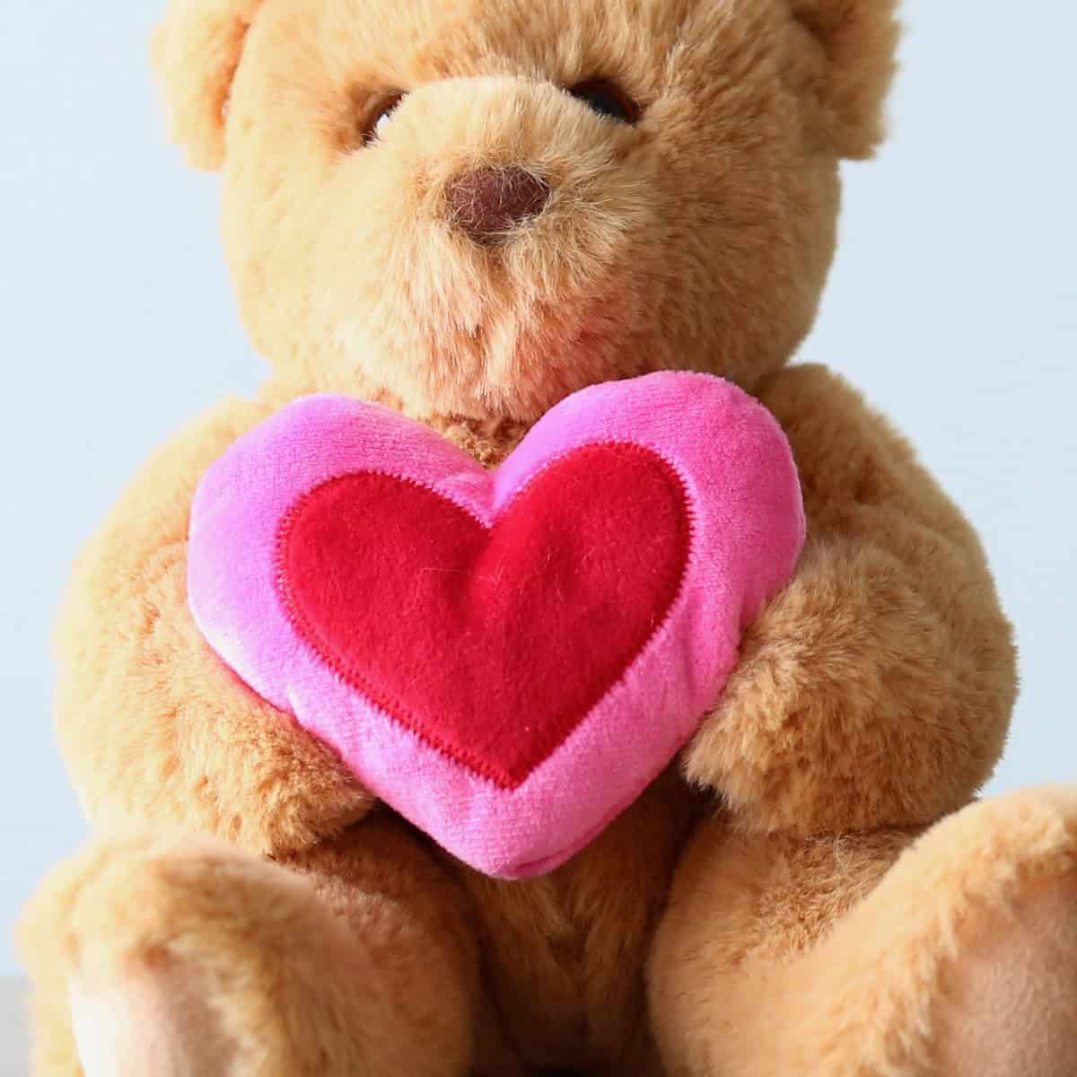 Valentine Bear close up