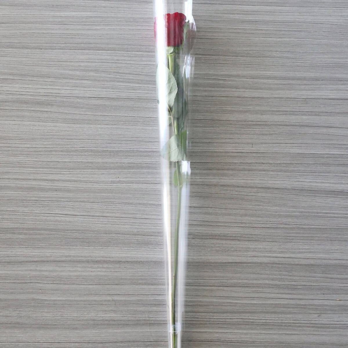 Individual Long Stem rose