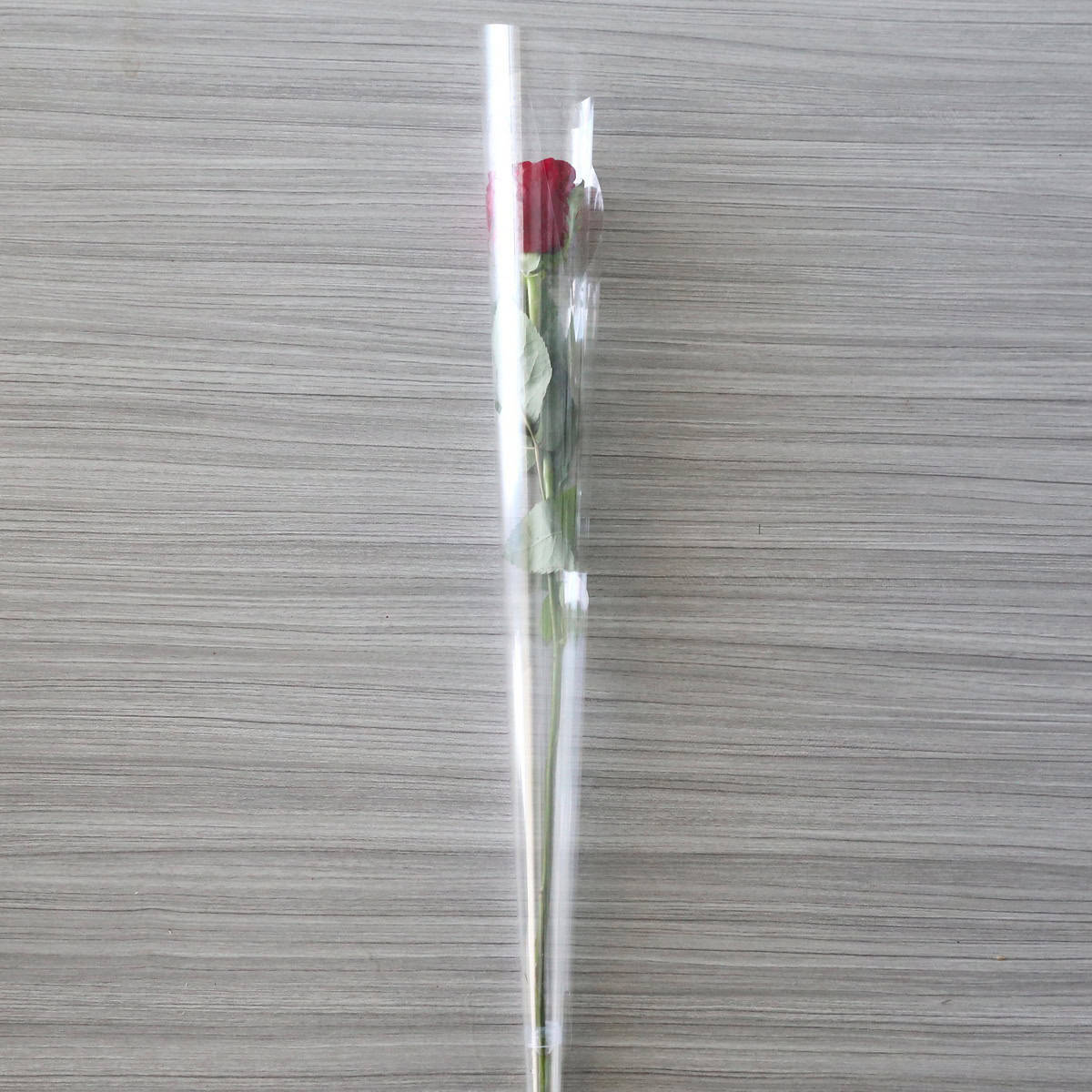 Individual Medium Stem rose