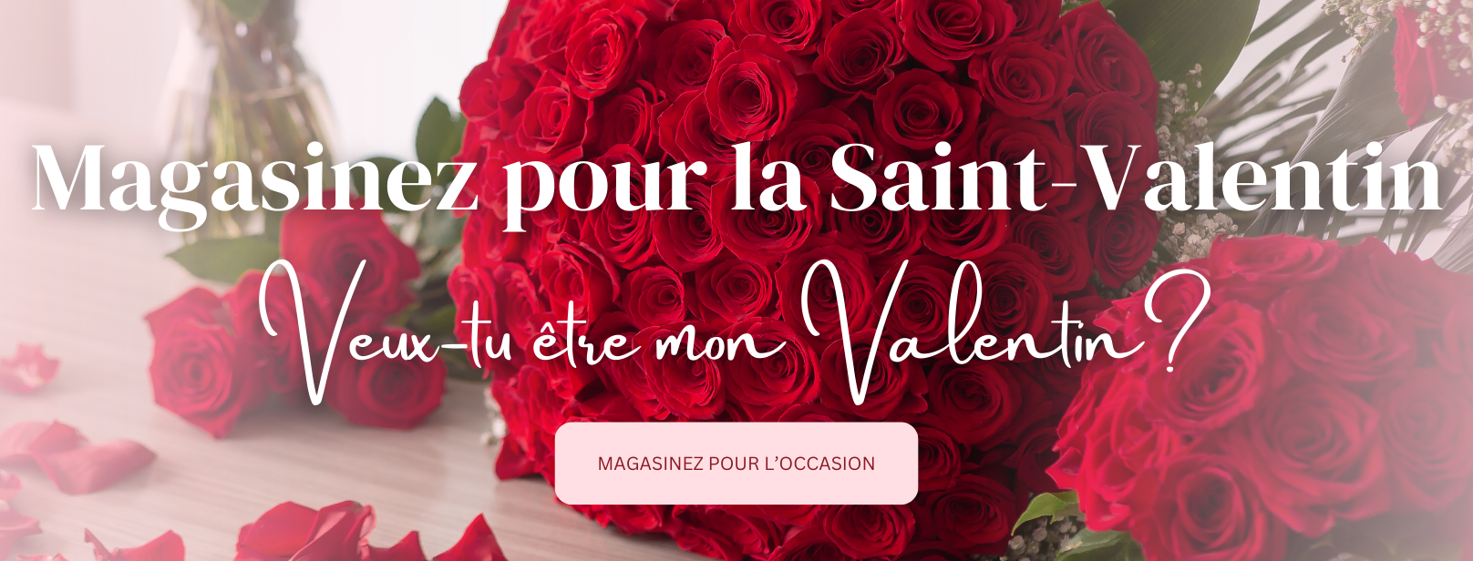 Valentine Banner desktop french