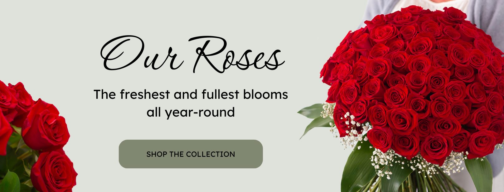 Our Roses Desktop Banner lebouquet mtl