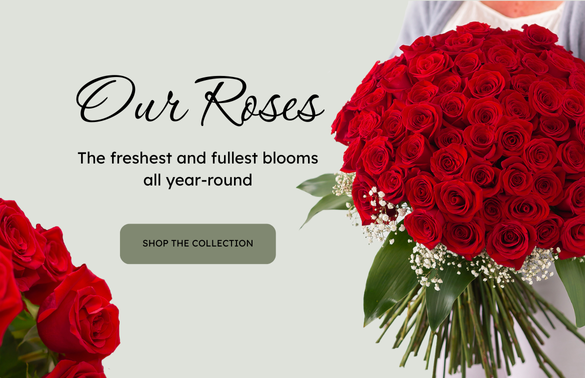 Our Roses Mobile Banner Lebouquet mtl