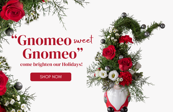 Gnomeo Christmas Banner English